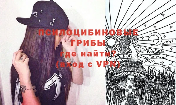 мдпв Армянск