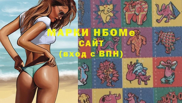 spice Аркадак
