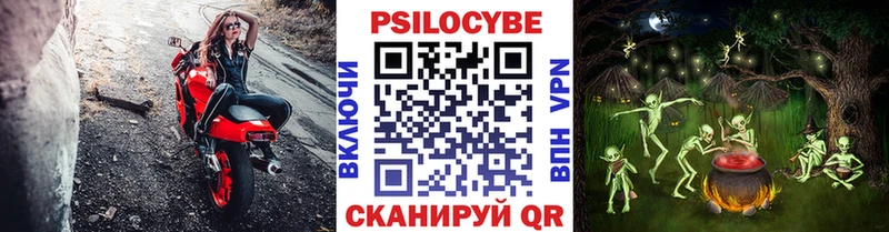купить   Липки  Галлюциногенные грибы прущие грибы 